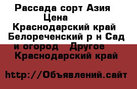 Рассада сорт Азия › Цена ­ 3 - Краснодарский край, Белореченский р-н Сад и огород » Другое   . Краснодарский край